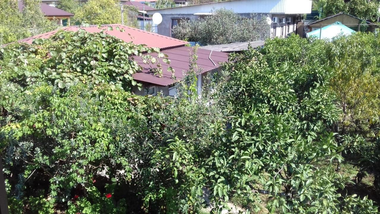 Гостевой дом Guest House Zelenyi Dvorik Гагра-14