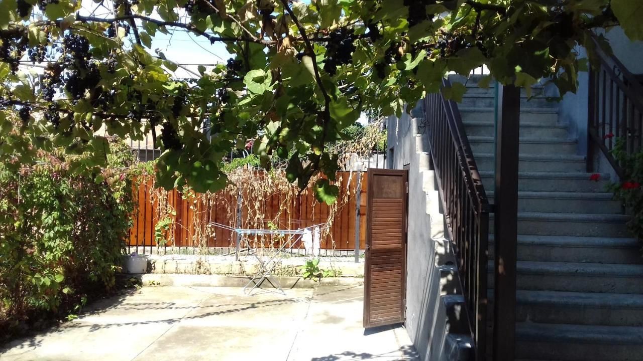 Гостевой дом Guest House Zelenyi Dvorik Гагра-18