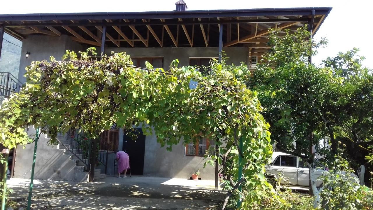 Гостевой дом Guest House Zelenyi Dvorik Гагра-19