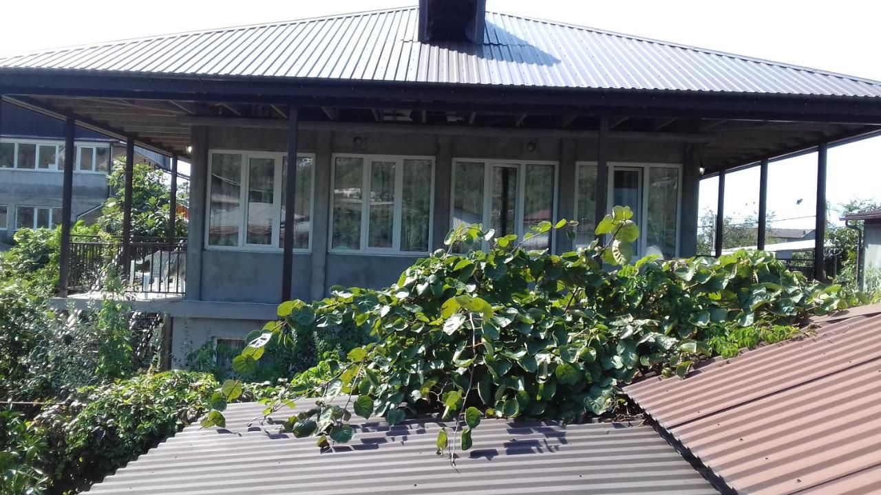 Гостевой дом Guest House Zelenyi Dvorik Гагра-22