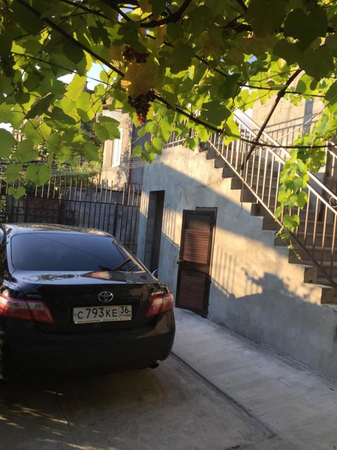 Гостевой дом Guest House Zelenyi Dvorik Гагра-46