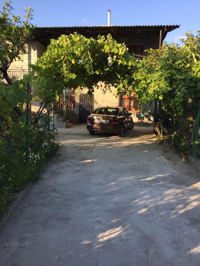 Гостевой дом Guest House Zelenyi Dvorik Гагра-47
