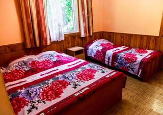 Гостевой дом Guest House Zelenyi Dvorik Гагра Стандартный трехместный номер-2
